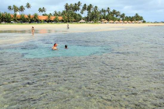 Casa Em Serrambi Com Piscina E Terraco Amplo Villa ปอร์โต จิ กาลินญาส ภายนอก รูปภาพ